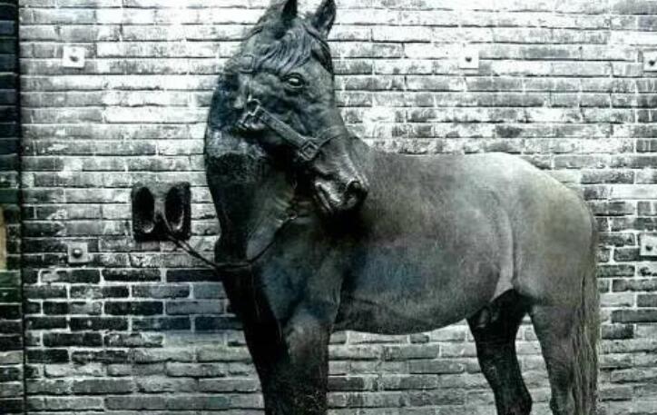 宽窄巷子朋友圈文案