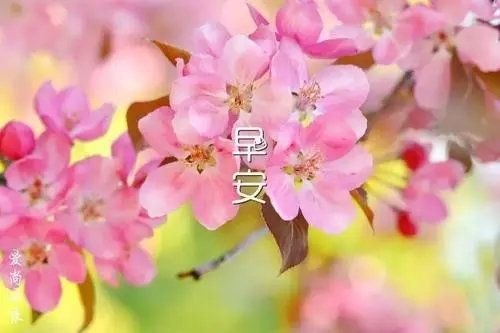 早安正能量朋友圈文案