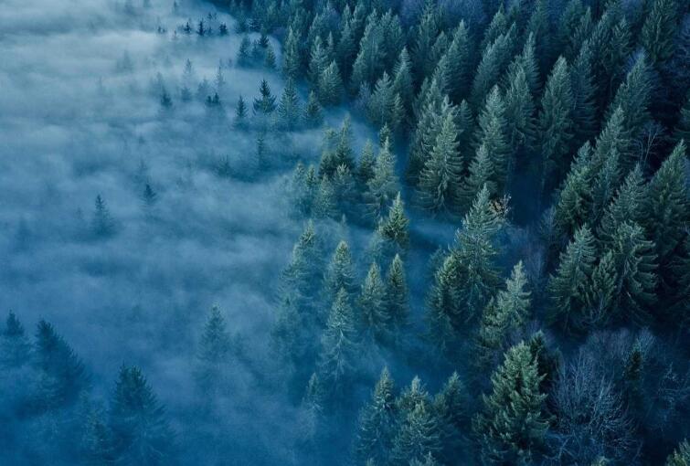 导师指引的优美文案