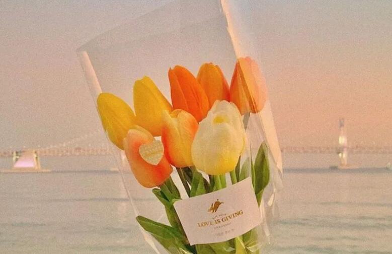 开车等红绿灯文案