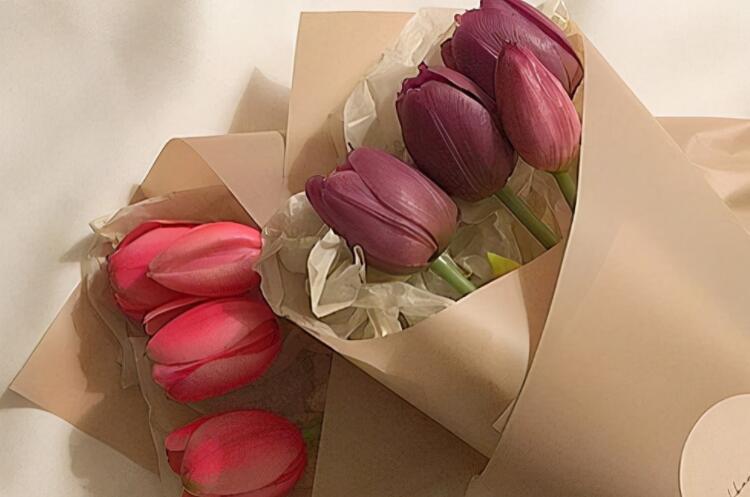 朋友圈求爱文案