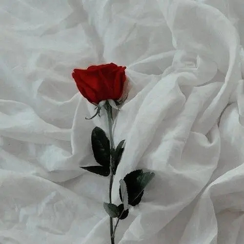 关于百分九少年的文案