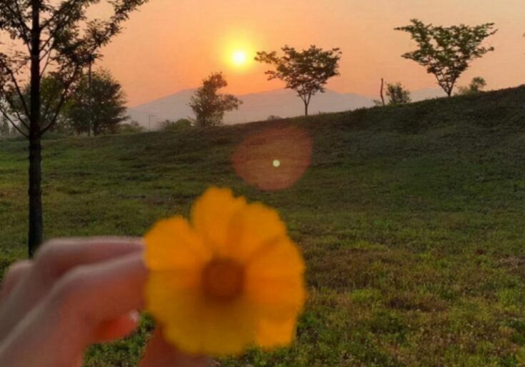 文案句子伤感配图动漫