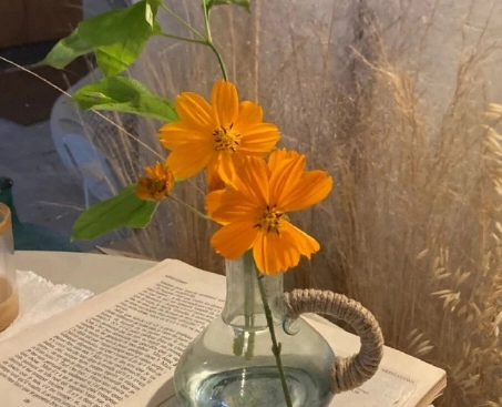 现状朋友圈文案