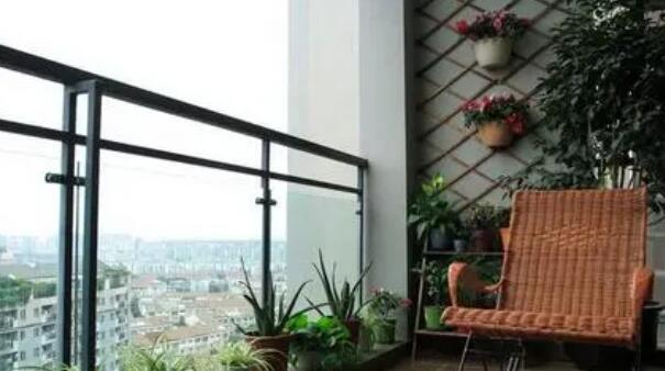 大阳台宣传文案