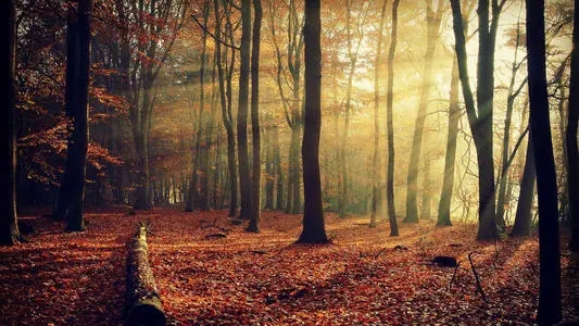 朋友圈惊艳一句话文案