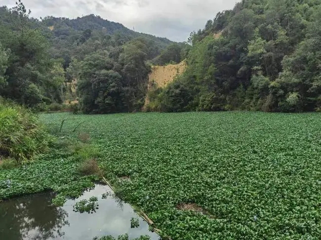 生态环境宣传文案