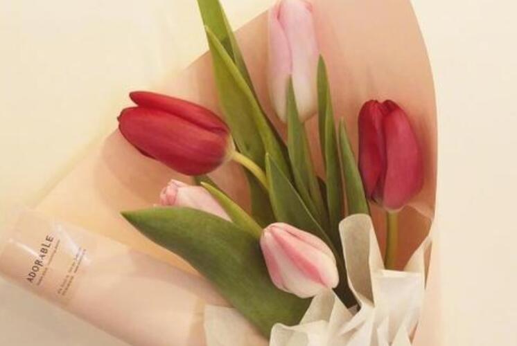 老师放假的文案