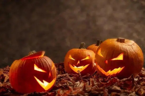 节日越来越多的文案