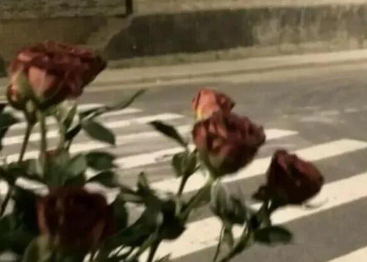 关于我累了的文案