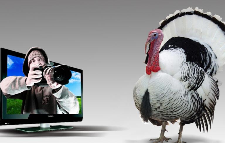 电视广告文案特点