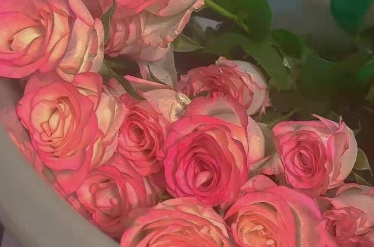 超级温柔的情话文案长篇