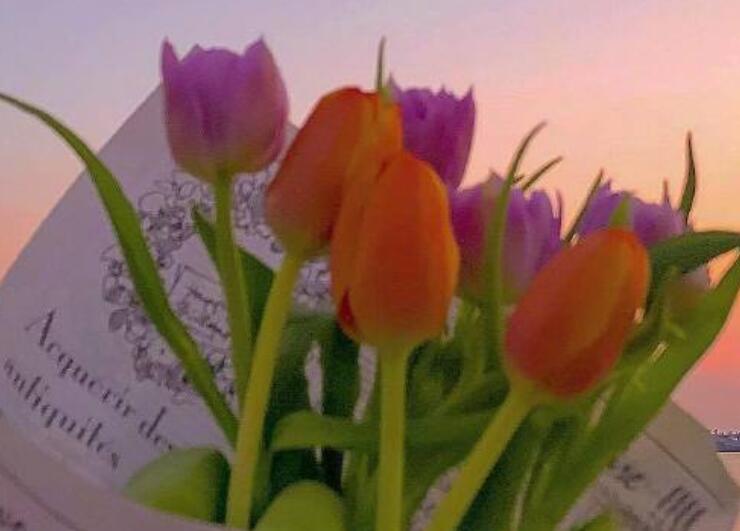 成熟男人的早上朋友圈文案