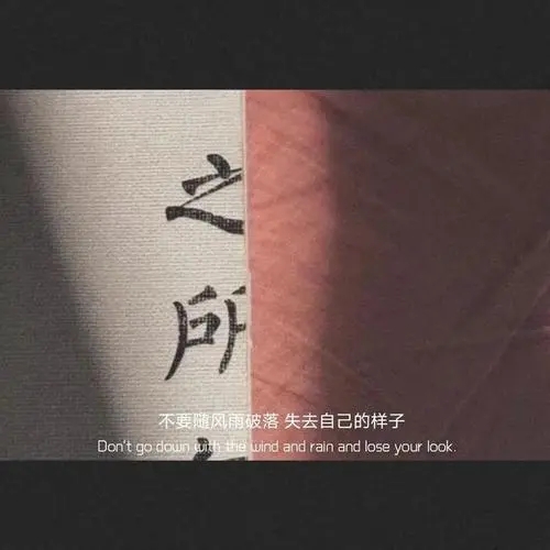 女人不容易文案短句