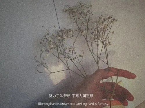 失望至极的文案简短