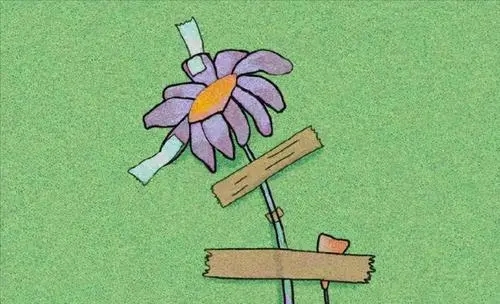 高情商励志文案