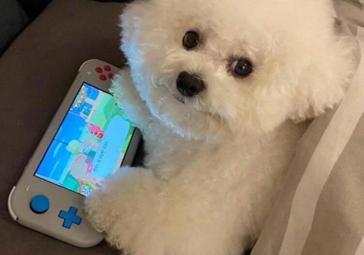 六一朋友圈可爱文案符号