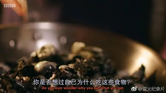 纪录片文案字幕