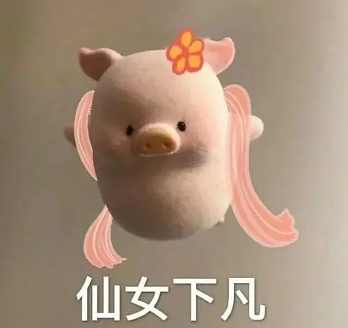 超可爱的文案加配图