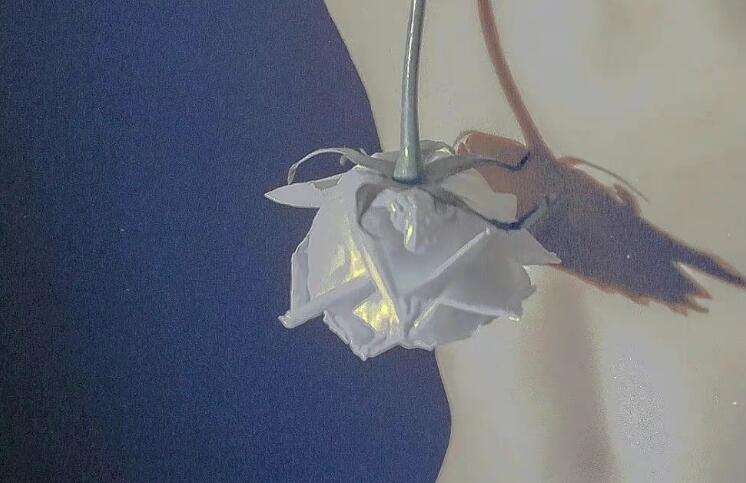 含蓄表达喜欢的文案