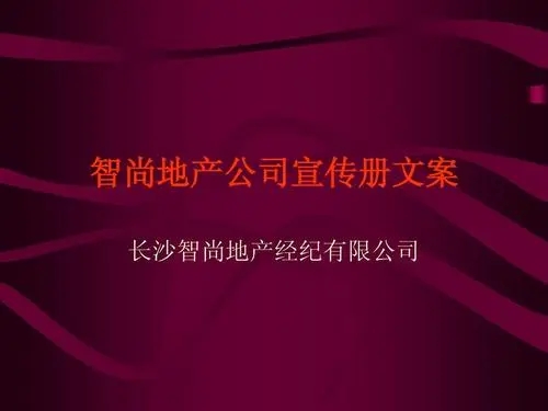 评估公司宣传文案