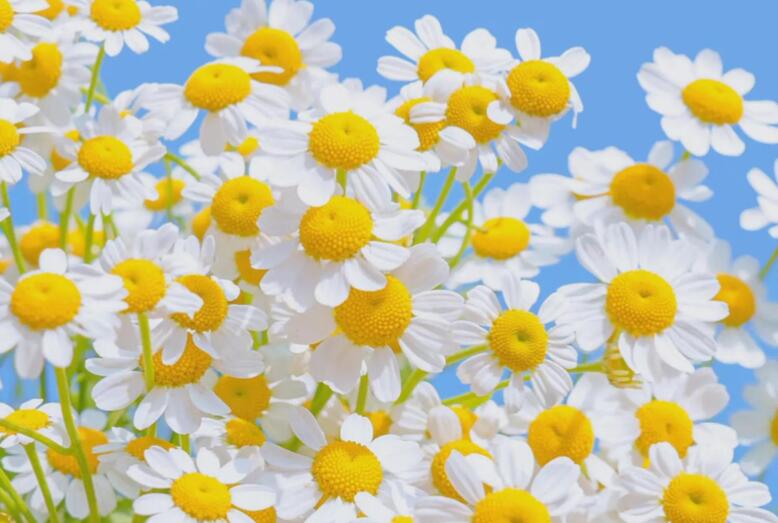 有创意的微信推文案例