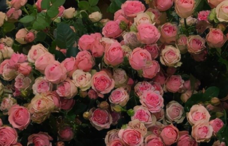 不如就放手文案