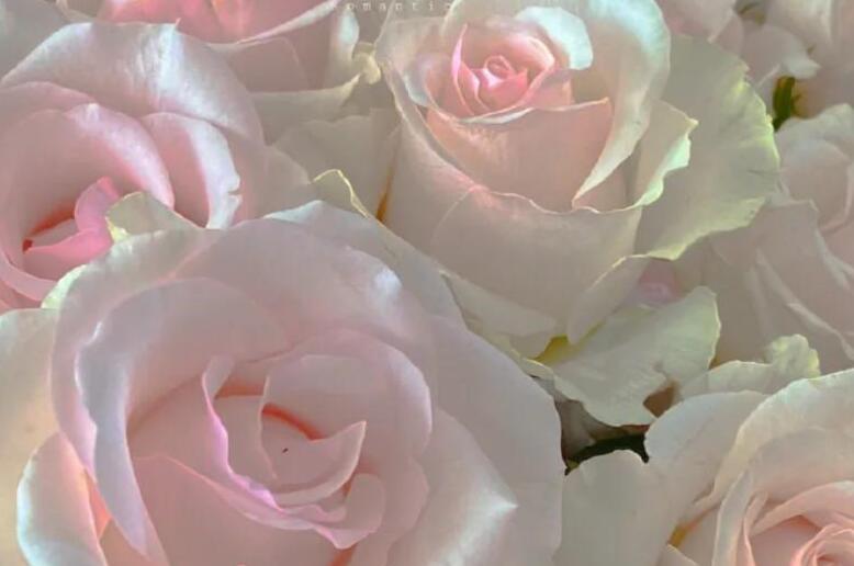 调皮生日快乐文案