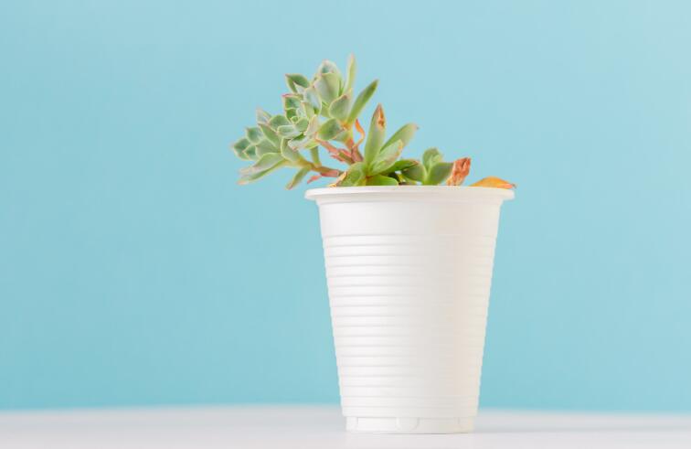 很多人自作聪明的朋友圈文案