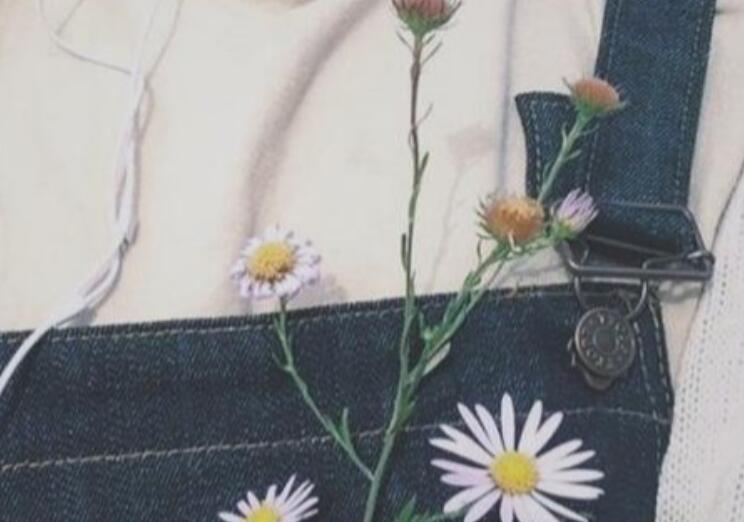 搬宿舍朋友圈文案