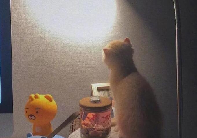 我们不顺路了文案