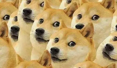 单身狗搞笑文案