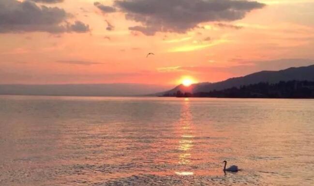 喜欢一个人的温柔文案