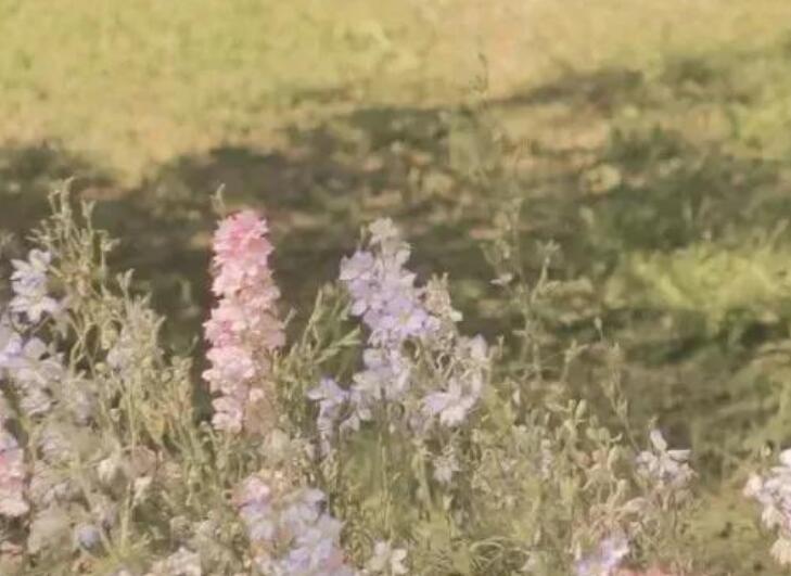 适合告别的文案