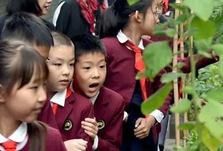 孩子劳动朋友圈文案