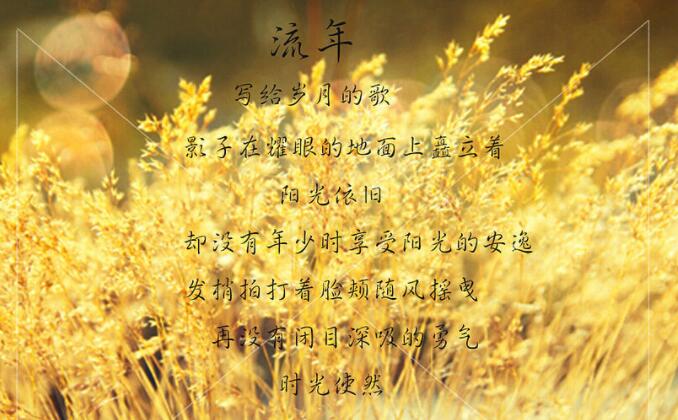 历史流年的文案