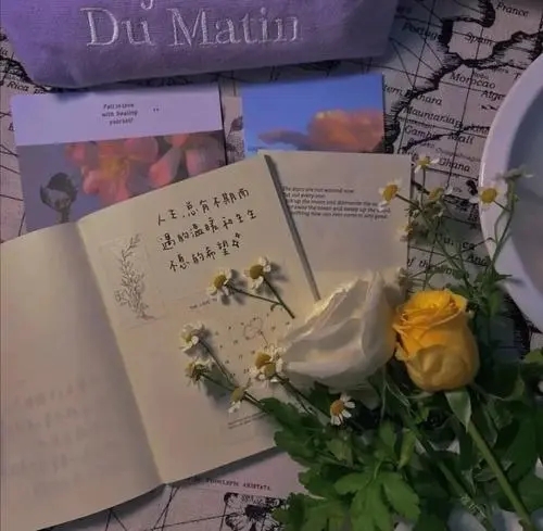 想见你的人文案