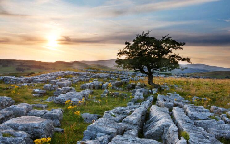 文案能力很强的人