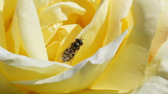 情侣美好生活的文案