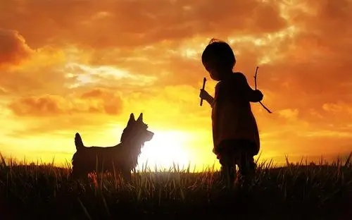 发抖音好的文案正能量