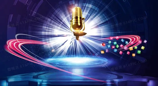 十大歌手宣传文案