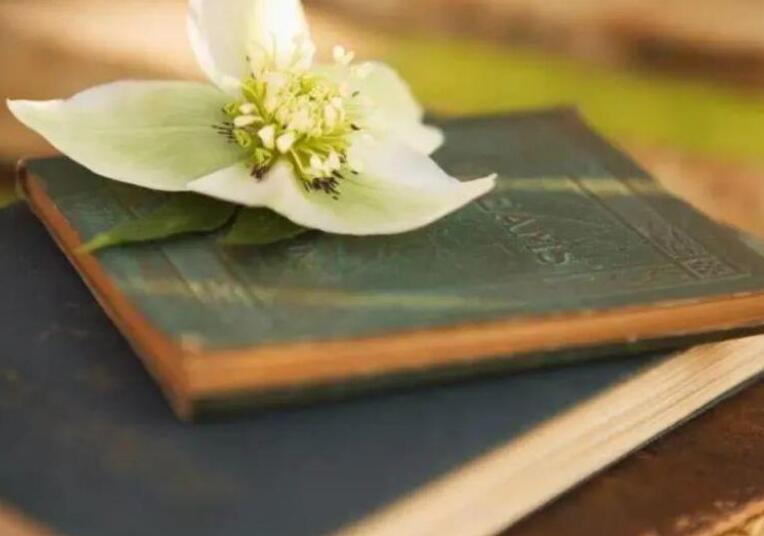 坚持读书的文案