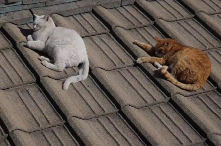 等一个人的文案扎心