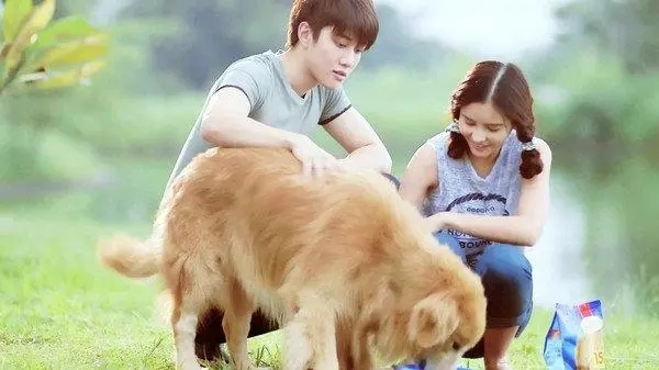 温柔到爆的神仙英文文案