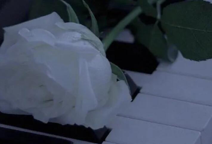 看花的抖音文案