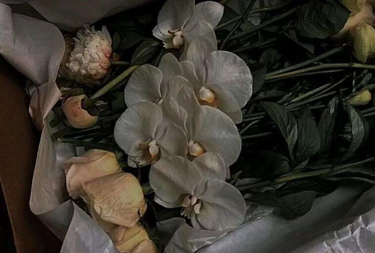 抑郁文案句子100个字