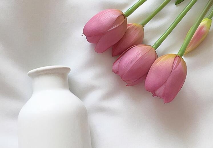 朋友圈求爱文案