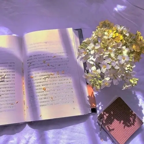 超级温柔的文案长文英语