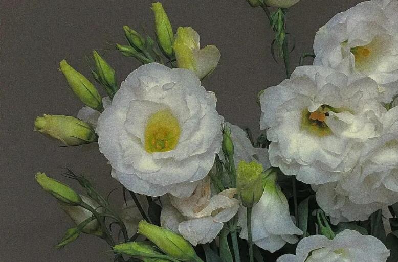 评论拿别人的文案