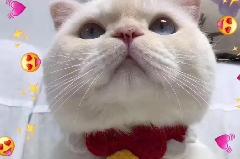 61朋友圈幽默文案